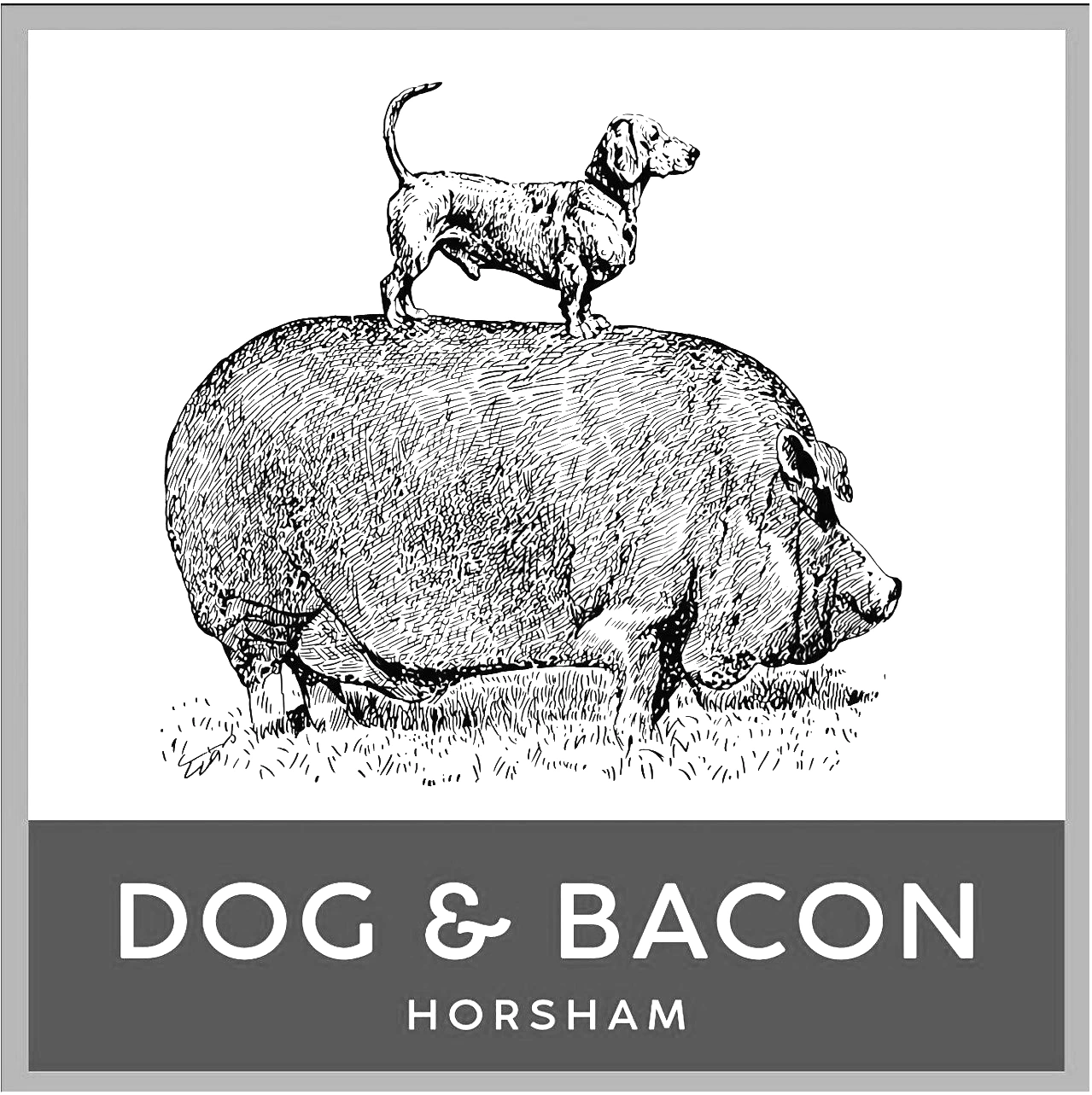 The logo for The Dog & Bacon